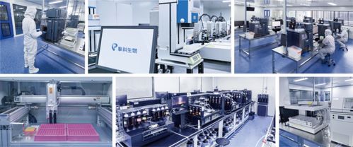 擎科生物獲4億元B輪融資，加速智能化基因工廠建設